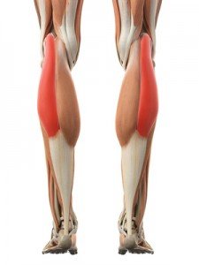 Ein Pladoyer für das Beinmuskeltraining