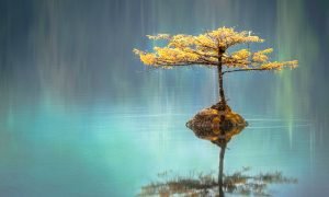 Heilpraktiker Michel in München